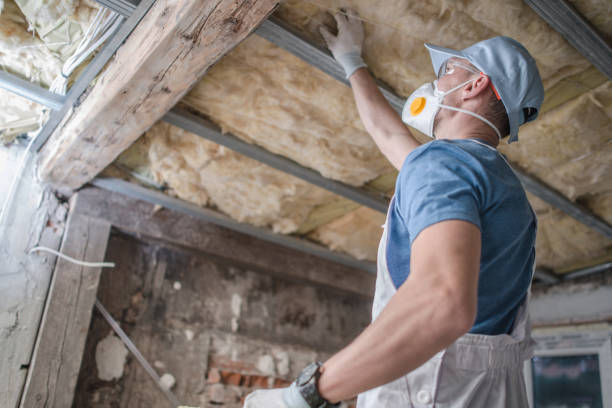 Best Local Insulation Services  in Arlington Heights, PA