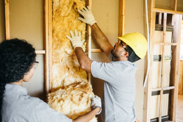 Best Energy-efficient Insulation  in Arlington Heights, PA