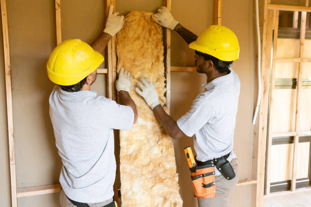 Best Insulation Inspection Services  in Arlington Heights, PA
